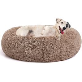 колір: бру́ній