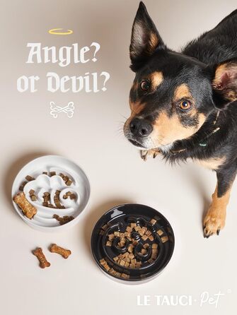 Миска для собак LE TAUCI для повільного годування, кераміка, 675 мл, для маленьких та середніх порід, протиковзаюча, білий колір