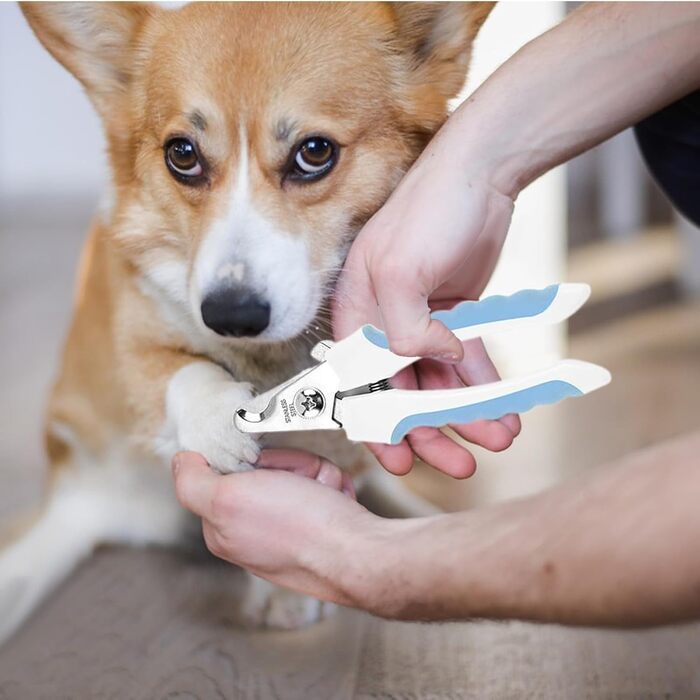 Набір для догляду за шерстю котів та собак: щітка, триммер для нігтів, пилка, гребінець від бліх, 2 зубні щітки для тварин, блакитний