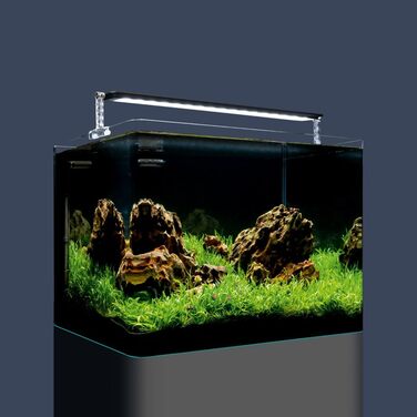 Dennerle Nano Tank Plant Pro — міні акваріумний набір 55 л для рослин