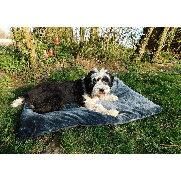 Кілимок для собак Zollner, 60x90 см, сірий, з поліестеру, знімне покриття, переносний