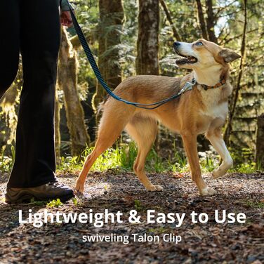 Повідок-амортизатор Ruffwear Roamer для бігу, велоспорту та прогулянок, універсальний, зелений, 1,7-2,1 м