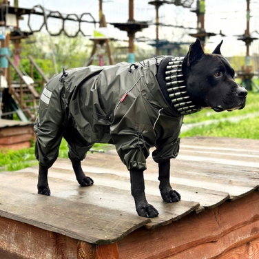 Стильна куртка Your Stylish Hunter, зелена, XXXS