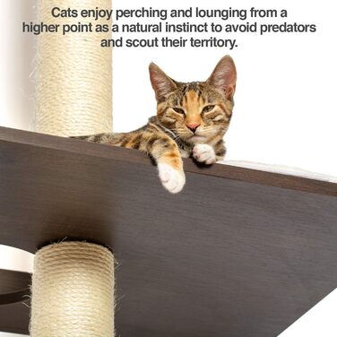 PetFusion Ultimate Котячий дерев'яний комплекс для лазіння та активності, 195 см, з високими сизалевими стовпами, настінний монтаж, сучасний дизайн, колір еспресо, гарантія 1 рік