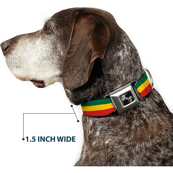Нашийник для собак Buckle Down Rasta Bone, великий, 38,1–66 см