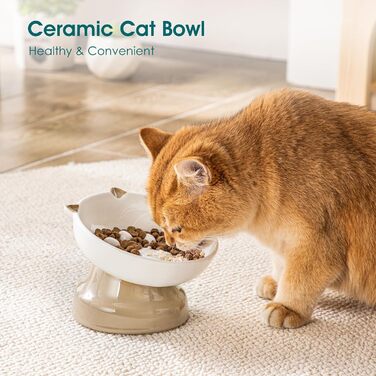 Васко керамічний годівниця для котів, піднятий миска, похилий дизайн, коричневий