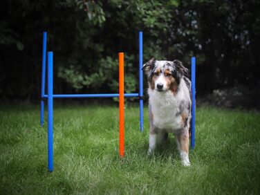 Набір для аджиліті NATIV LEMODO для собак | Тренування собак з бар'єрами та стрибковим кільцем | Легкий у транспортуванні аксесуар для тренувань | Початковий набір у собачий спорт без тунелю