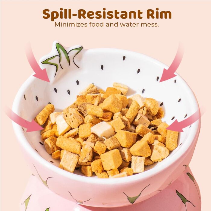 Котло propositions для котів TIGOADT, керамічна миска з дизайном ківі, нахилена годівниця для котів з підставкою, миска для кошенят, що запобігає блювоті, придатна для миття в посудомийній машині (рожева)