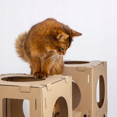 Модульний картонний будинок для котів та кошенят: 4 блоки та 2 містки