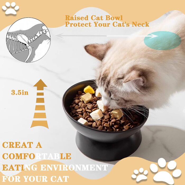 Підвищений годівниця для котів, кераміка, піднятий та нахилений годівниця, проти блювоти, без стресу, для котів та маленьких собак, 150 мл, чорний, 1 шт.