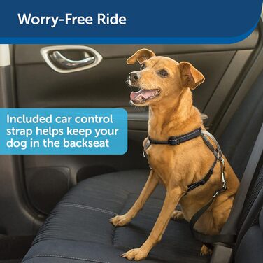 PetSafe 3-в-1 шлея для собак, з двоточковим повідцем, проти ривків, розмір S, чорна, регульована