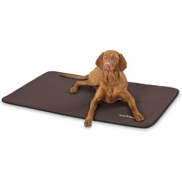 розмір: діагональ 120 x ширина 80 x висота 2 см