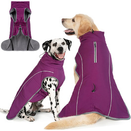 колір: фу́ззія