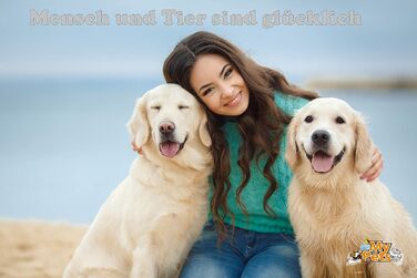 Загорожа для цуценят MYPETS, 8 секцій, 80x60 см, манеж для собак, металевий вольєр для молодих собак