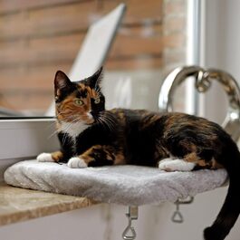 Кішка ліжко для вікна Lionto, м'яке, плюшеве, 35x50 см, без свердління, знімний чохол, до 15 кг, сірий (з нанесенням імені)