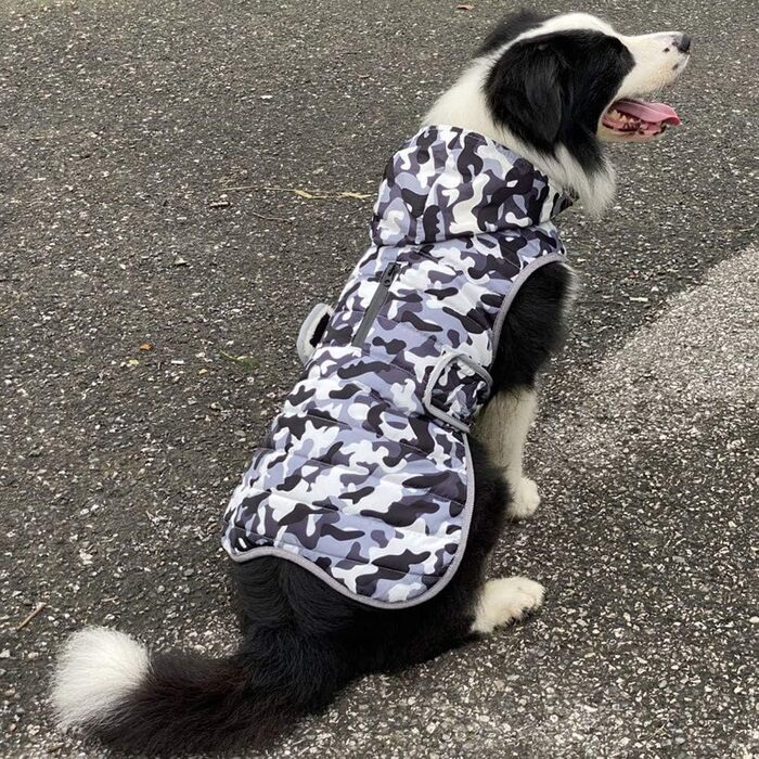 Теплий зимовий одяг для собак: тепла куртка з капюшоном для маленьких, середніх та великих собак (XL, 60-75 см)