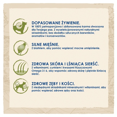 Сухий корм для собак Purina Dog Chow Adult з ягнятиною, 14 кг