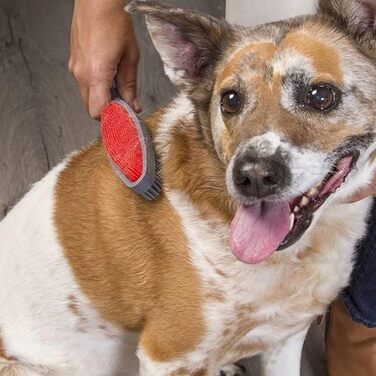 Щітка для собак для видалення шерсті, двосторонній гребінець для грумінгу, щітка для вичісування шерсті, для домашніх тварин, кроликів, кошенят, цуценят, для боротьби з випадінням шерсті, для чищення, купання, душ, червона та сіра