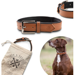 Преміум шкіряний нашийник для собак Jack Russell Lilly - нашийник з натуральної шкіри телятини, нашийник для собак, шкіряний (XXL, Коричневий/Чорний) XXL - обхват шиї 49,0-60,5 см Коричневий/Чорний