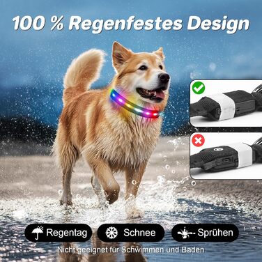 Світлодіодна нашийник для собак Feycig з USB зарядкою - водонепроникний, регульований, 3 режими, для малих, середніх та великих собак (Чорний, L(48-60см))