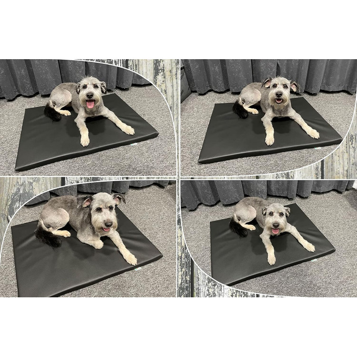 Килимок для собак FORTISLINE Capri (L, 100x65 см, сірий)