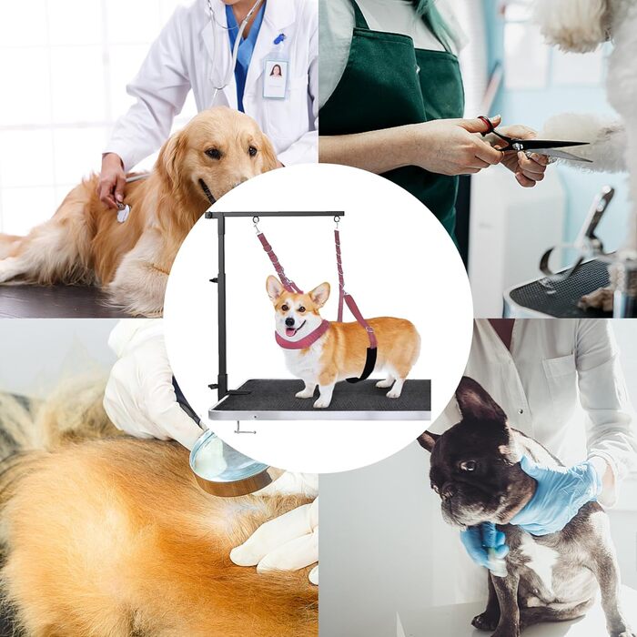 Нашийник для собак 3 шт., міцний, з регульованим тросом та D-кільцями, для грумінгу та купання, блакитний