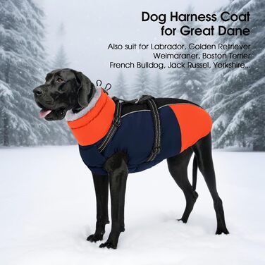 Теплий зимовий одяг для собак SUNFURA: водонепроникна куртка з інтегрованим шлейкою, фліс, для маленьких собак, цуценят, чихуахуа, мальтізер, блакитний, XS