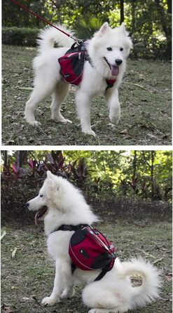 Рюкзак для собак середніх та великих порід, сумка-рюкзак для подорожей, прогулянок та тренувань, водонепроникний, з регульованою шлейкою та ручкою (зелений, L, 28-40 кг)