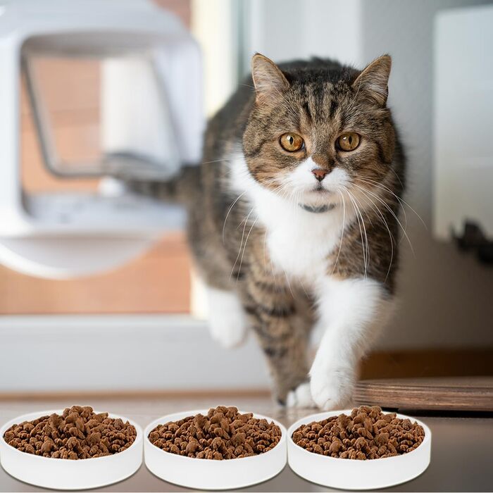 Набір мисок для котів з кераміки, 3 шт. – миски для котів та кошенят, 15 x 4 см, білий