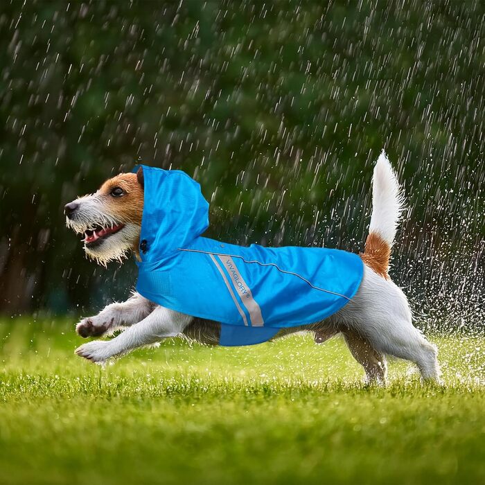 Дощовик для собак VIVAGLORY, водонепроникний, з підкладкою, для зими, XS, блакитний (обхват грудей 38.1-45.7 см)