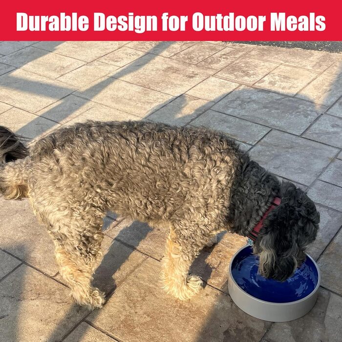 Керамічна миска для собак великих та середніх порід Ethical Spot, діаметр 24.1 см, білий/блакитний колір