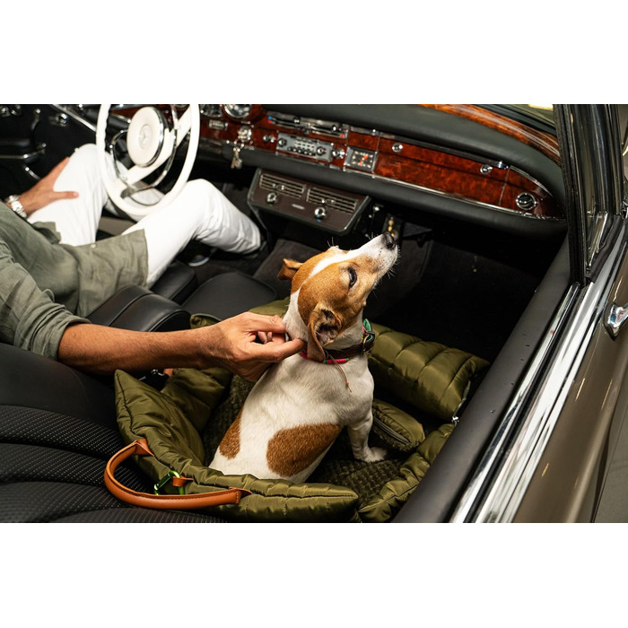 Чорничний собачий рюкзак Flying Dog Sunny 3-в-1: переноска, автокрісло та лежак для собак до 10 кг, оливковий колір