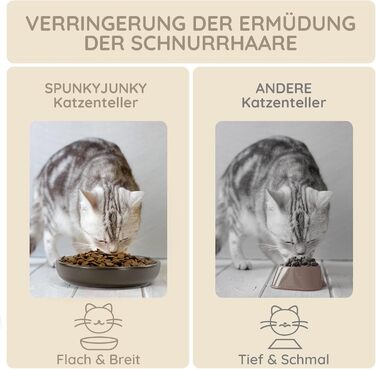 Набори мисок для котів SPUNKYJUNKY 3 шт. з кераміки, сірі, 300 мл