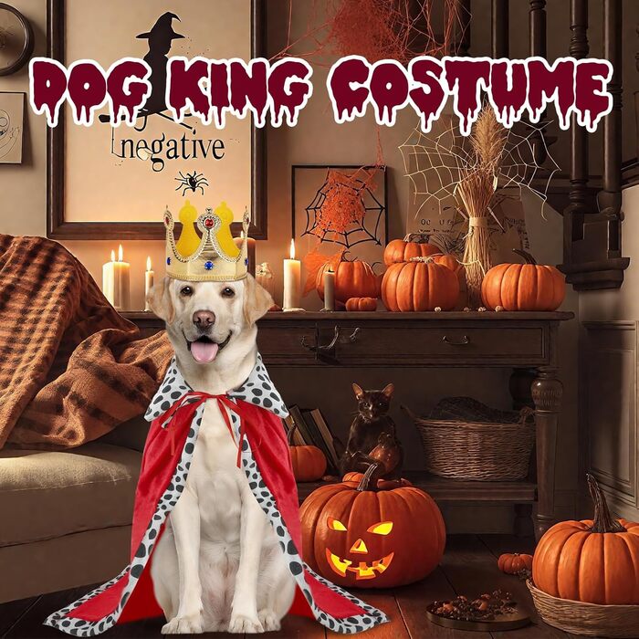 Костюм для собак 