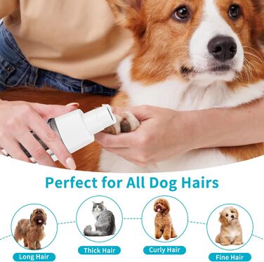 Триммер для собак 4-в-1: машинка для стрижки, ножиці, точилка для кігтів, гребінець. Безшумна, акумуляторна. Підходить для собак та котів.