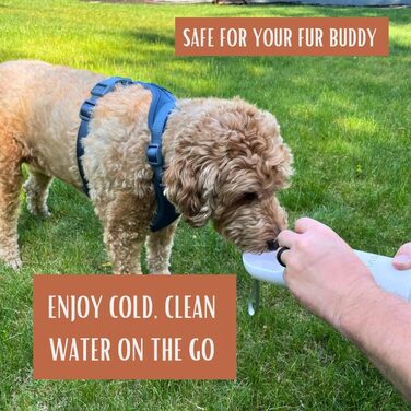 Водяна пляшка для тварин Tito's Closet Pawsome Durstlöscher, 400 мл, нержавіюча сталь, з відділенням для ласощів