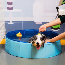 Великий складаний басейн для собак XXL (120x30 см) — для охолодження та купання в саду