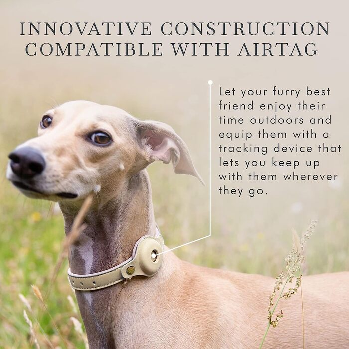 Нашийник для собак NINA WOOF Cupertino з еко-шкіри, сумісний з AirTag, розмір M (15-19 см), шлейки і повідці для собак