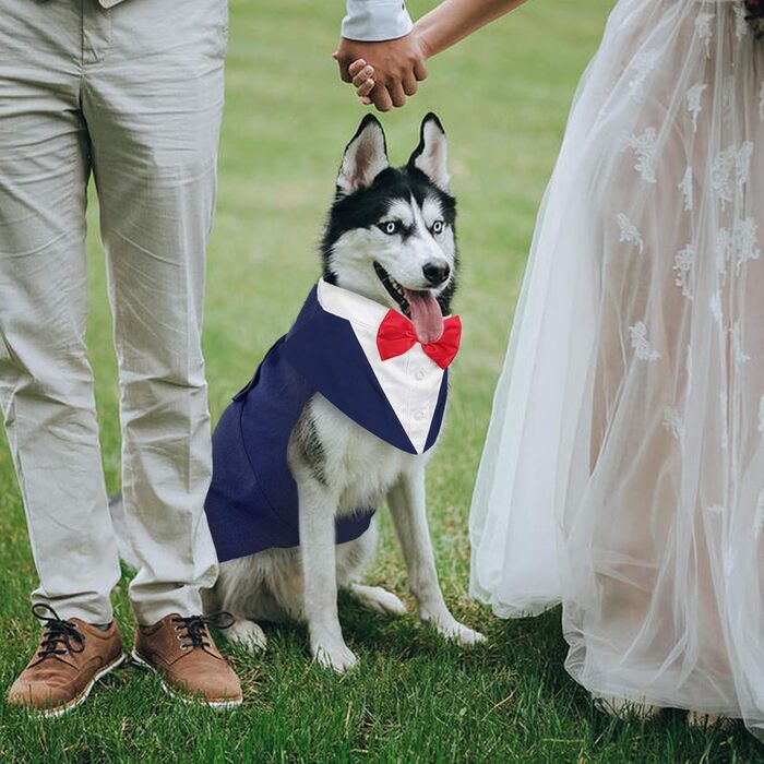 Костюм для собак Kuoser з банданою та краваткою, теплий зимовий, для святкування дня народження, Хелловіну, весілля, S-XXL, синій
