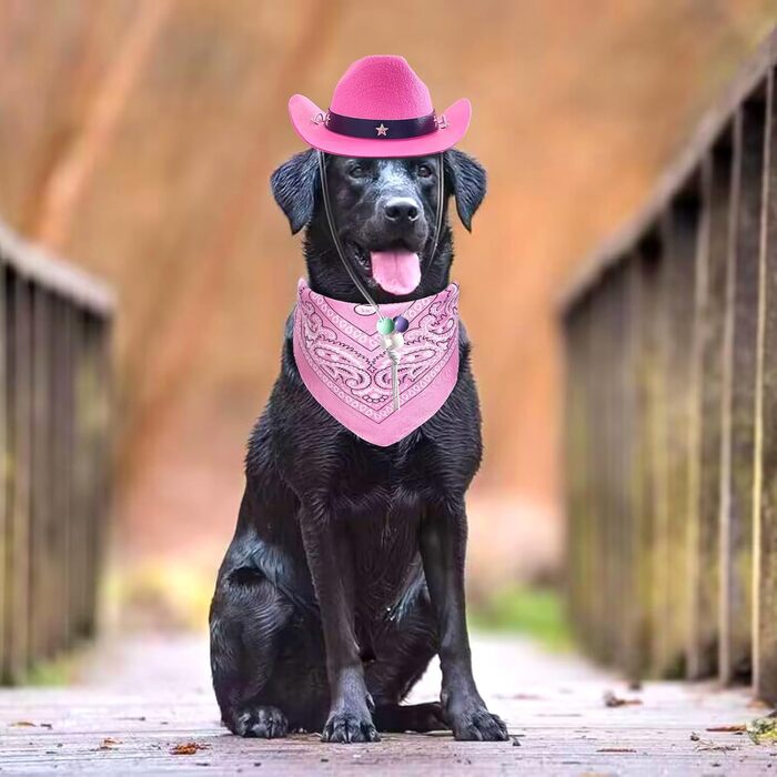 Ковбойський костюм для тварин: капелюх та бандана, рожевий. Аксесуари для собак та котів, ідеально для свят та повсякденного використання