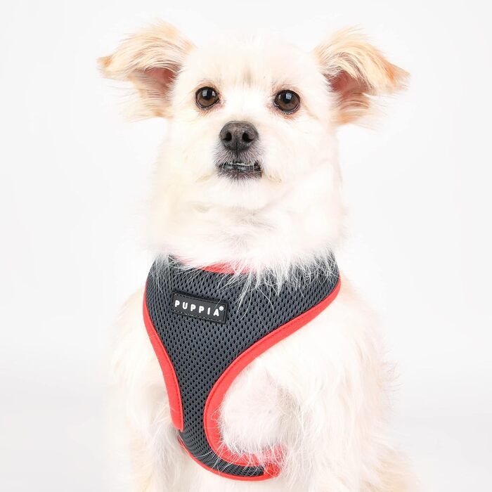 Шлейка для собак Puppia Soft Harness II - м'яка, зручна, регульована (Сірий, M)