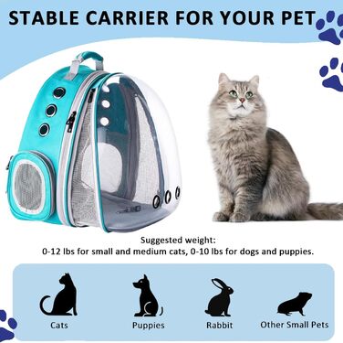 Рюкзак-переноска для котів та маленьких собак, з розширеною передньою частиною, прозоре вікно, блискавка, для подорожей та піших прогулянок (Світло-блакитний)