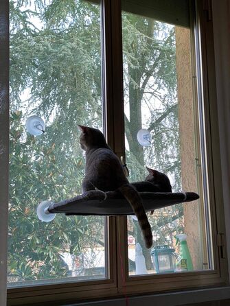 Підвіконна лежанка-гамак для котів Cat View з кріпленням на вікно