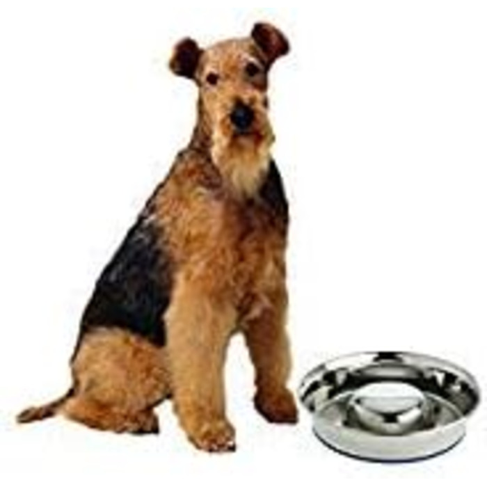 Durapet OurPets преміум антипоїдний металевий миска для собак
