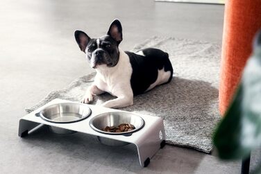 Підвищена годівниця для собак Jaska ARC з нержавіючої сталі та сталі (білий, S)