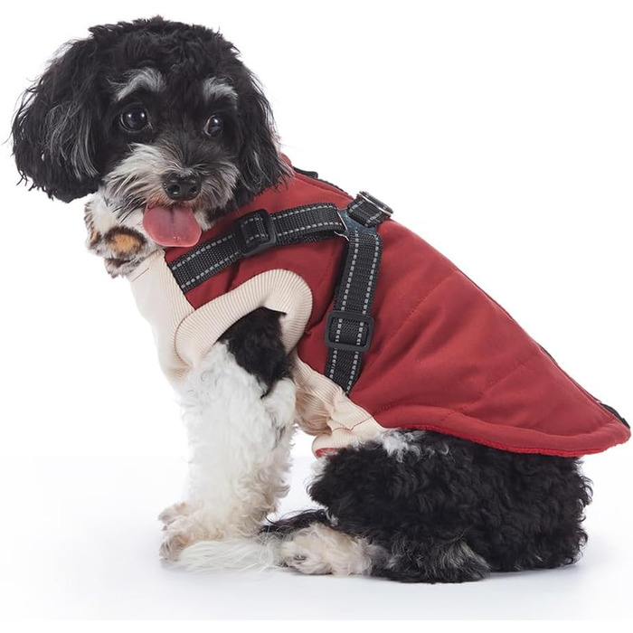 Зимова куртка для собак з інтегрованим нашийником, водо- та вітронепроникна, теплий одяг для цуценят та собак малих та середніх порід для активного відпочинку на відкритому повітрі (червона, S)