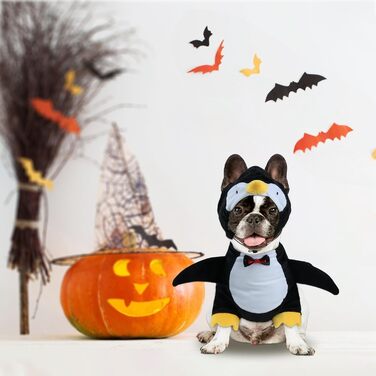 Костюм на Хелловін для собак Hotumn: Пінгуїн, милий та кумедний, для маленьких та середніх тварин (розмір M)