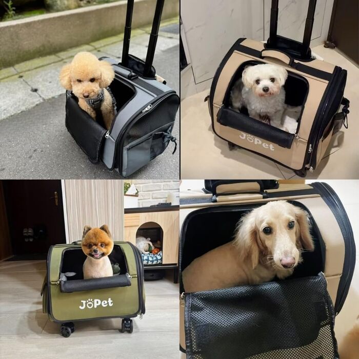 Транспортувальна сумка для тварин на колесах, рюкзак для собак та котів, маленька переноска для собак, переноска для котів, знімні колеса, сумка для подорожей, візок для тварин, м'яка переноска на колесах, оливковий (Latte White)