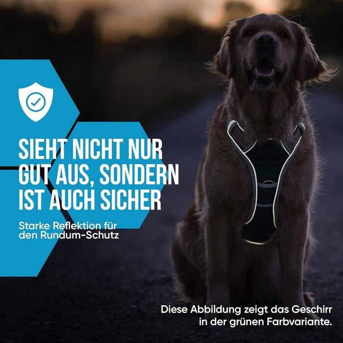 Набір повідка та шлейки для собак – дихаючий, регульований, з м'якою підкладкою та світловідбиваючими елементами – для великих та середніх собак (Синій, XL (76-101 см обхват грудей))