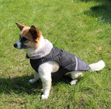 Водонепроникний теплий зимовий одяг для собак, Blu, S - JoyDaog